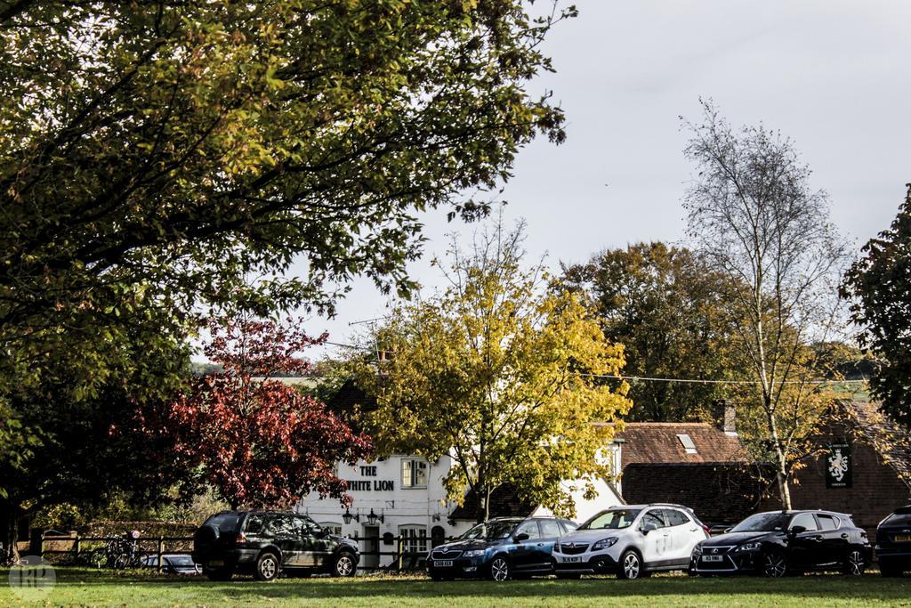 The White Lion, Soberton Hotel Exterior photo